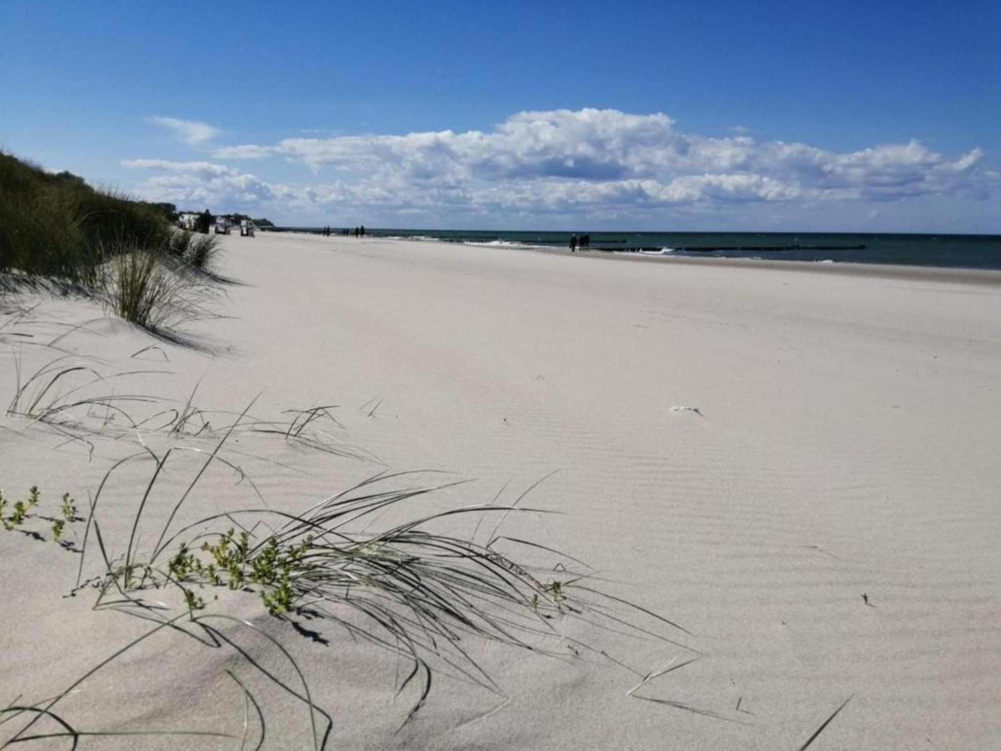 Comfortable Apartment Near Insel Poel Groß Strömkendorf Eksteriør bilde